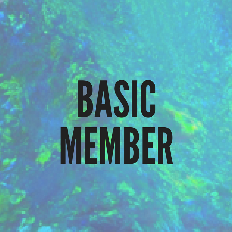 basicmember